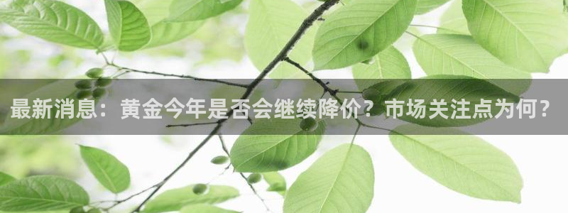 天天购彩2注册：最新消息：黄金今年是否会继续降价？市场关注点为何？