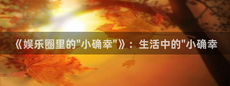 天天购彩主管：《娱乐圈里的\
