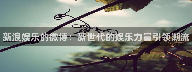 天天购彩5：新浪娱乐的微博：新世代的娱乐力量引领潮流