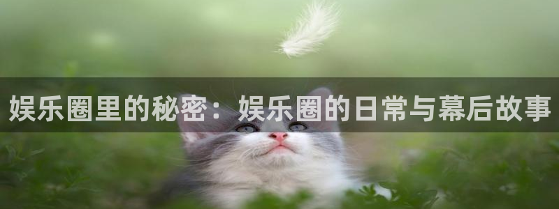 天天购彩平台在线注册：娱乐圈里的秘密：娱乐圈的日常与幕后故事