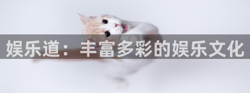 成都天天购彩电子有限公司：娱乐道：丰富多彩的娱乐文化