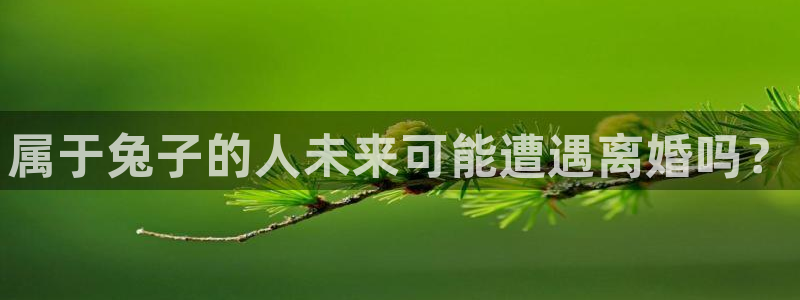 天天购彩体育注册代理：属于兔子的人未来可能遭遇离婚吗？
