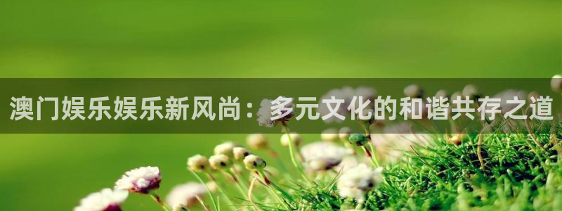 天天购彩注册：澳门娱乐娱乐新风尚：多元文化的和谐共存之道