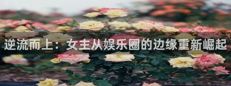 天天购彩登陆：逆流而上：女主从娱乐圈的边缘重新崛起