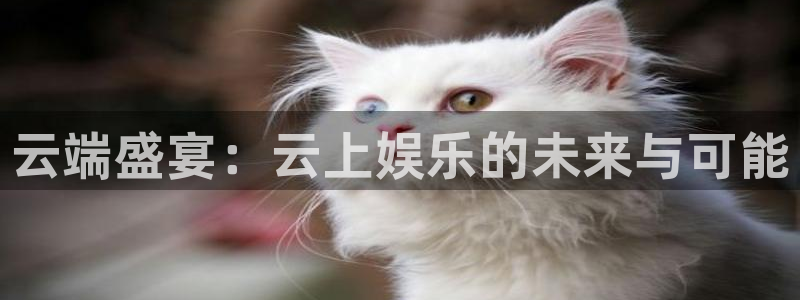 天天购彩体育免费注册入口：云端盛宴：云上娱乐的未来与可能