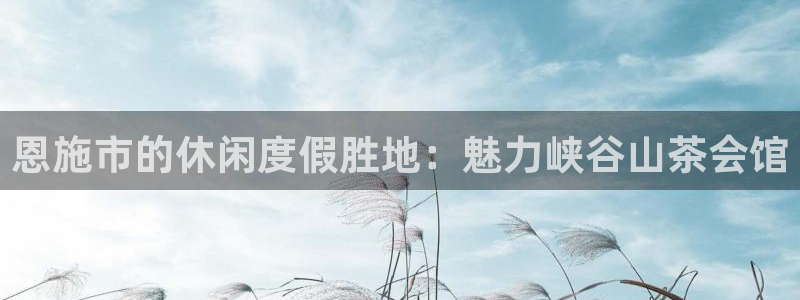 天天购彩5注册：恩施市的休闲度假胜地：魅力峡谷山茶会馆