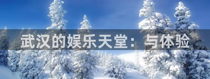 天天购彩3登陆：武汉的娱乐天堂：与体验