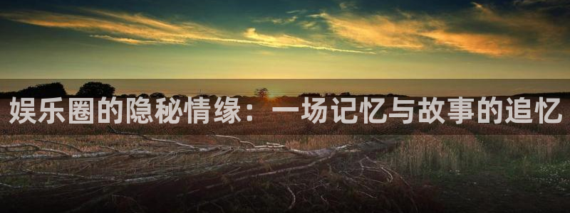 天天购彩4：娱乐圈的隐秘情缘：一场记忆与故事的追忆