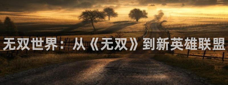 天天购彩电子有限公司：无双世界：从《无双》到新英雄联盟