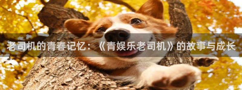 上海天天购彩汽车电子有限公司：老司机的青春记忆：《青娱乐老司机》的故事与成长