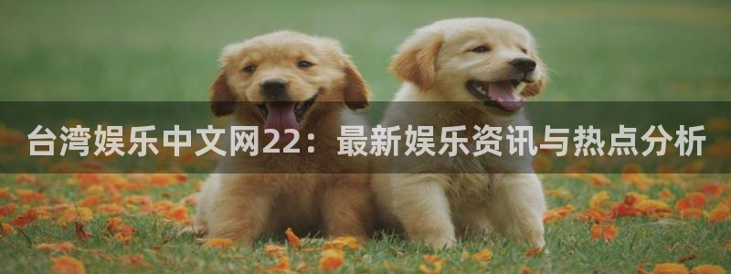 天天购彩主管：台湾娱乐中文网22：最新娱乐资讯与热点分析