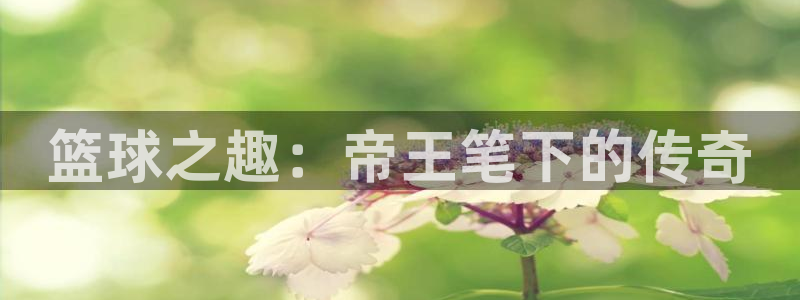 天天购彩平台官网：篮球之趣：帝王笔下的传奇