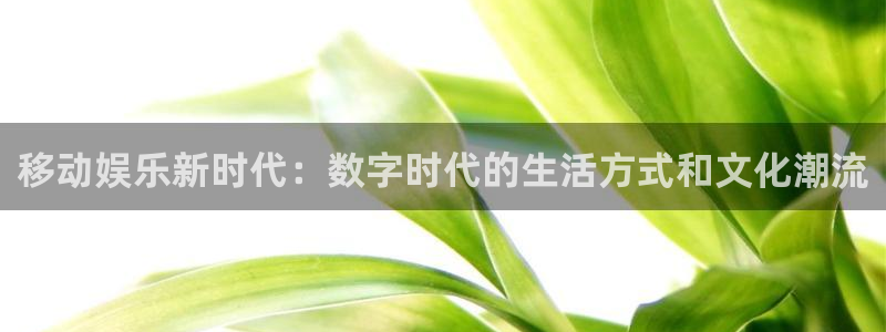 天天购彩2体育登录入口：移动娱乐新时代：数字时代的生活方式和文化潮流