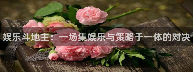 天天购彩平台主管：娱乐斗地主：一场集娱乐与策略于一体的对决