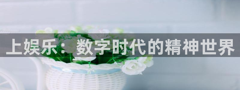 天天购彩集团总部：上娱乐：数字时代的精神世界